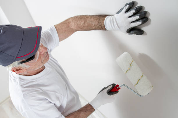 Best Asbestos and Lead Testing During Mold Inspection  in , AK