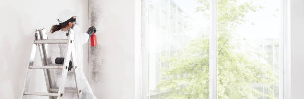 Best Comprehensive Air Testing for Mold Contaminants  in , AK